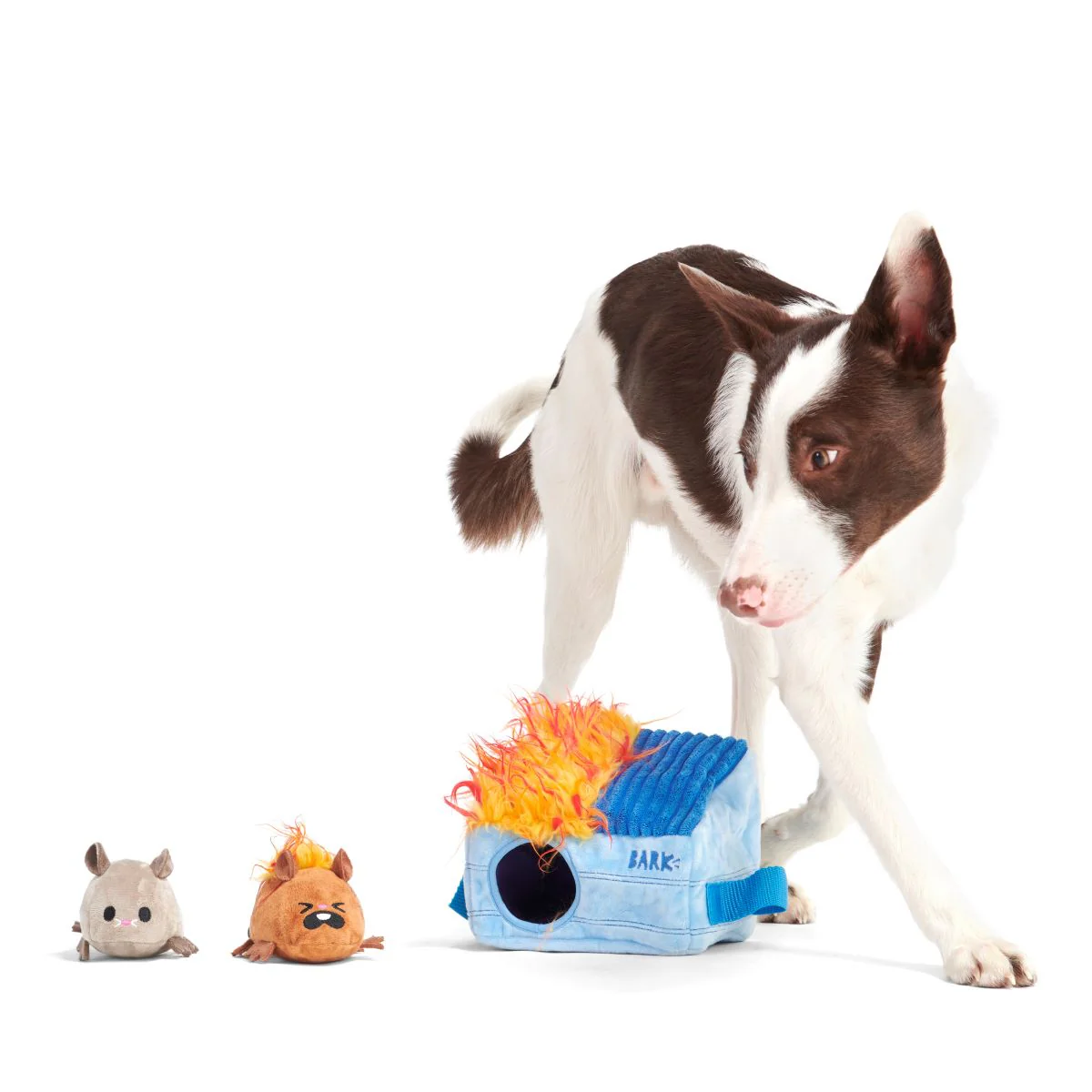 Hide n' Squeak Dumpster Fire Plush Enrichment + Multi-Part Dog Toy - Image 8