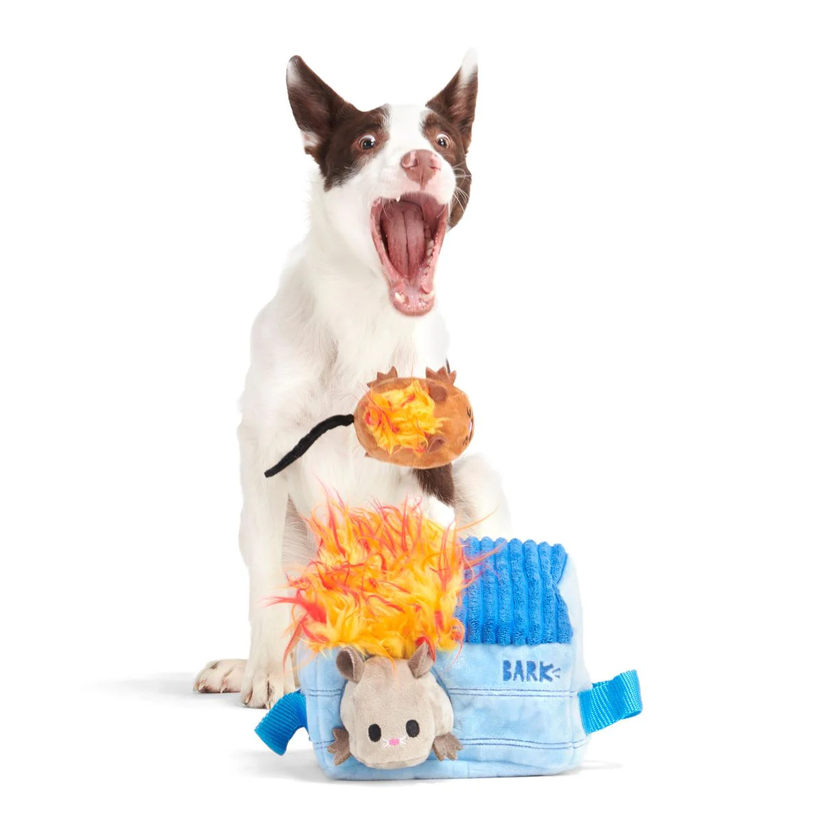 Hide n' Squeak Dumpster Fire Plush Enrichment + Multi-Part Dog Toy - Image 9