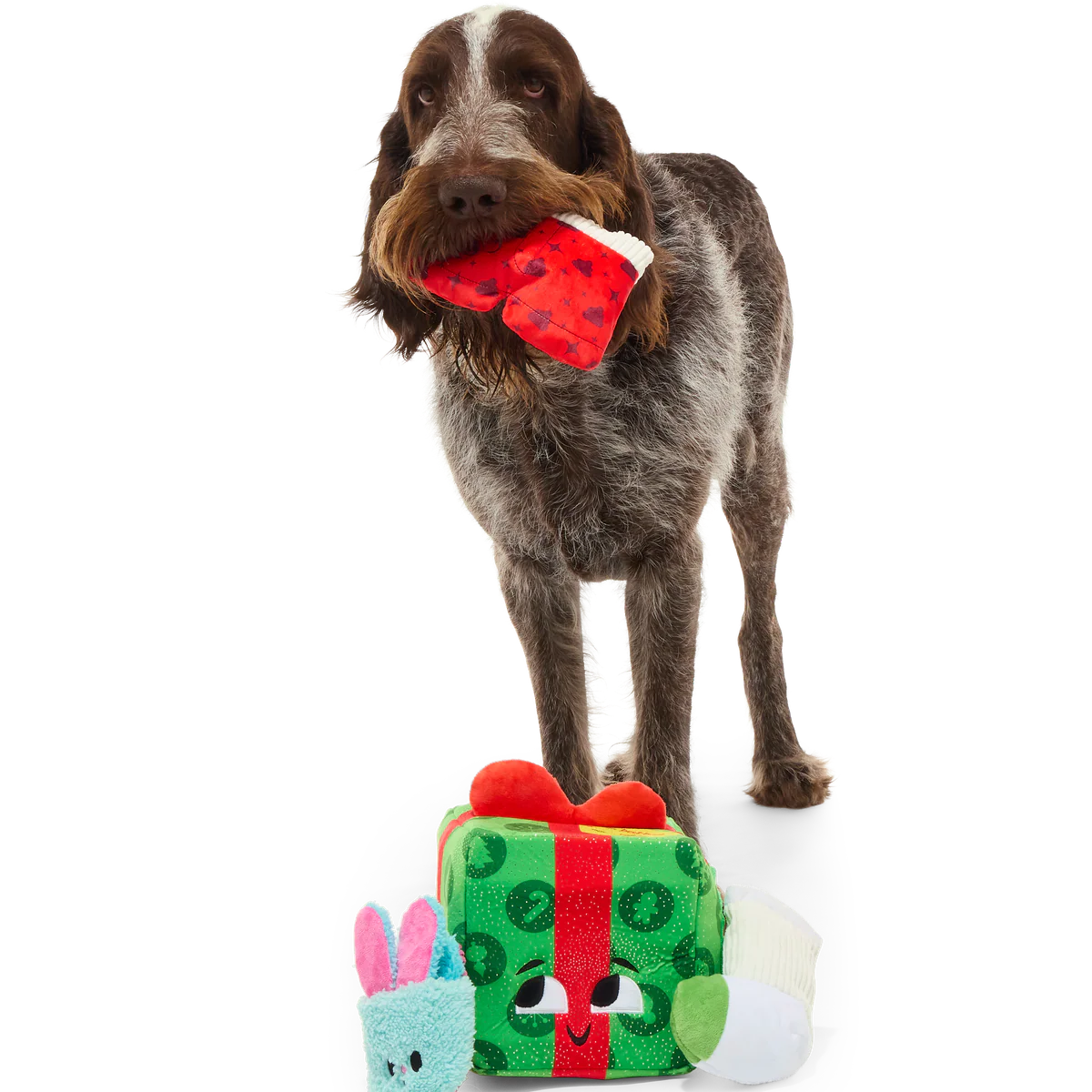 Holly Day's Presents Plush Extra-Large + Multi-Part + Enrichment Dog Toy - Image 3