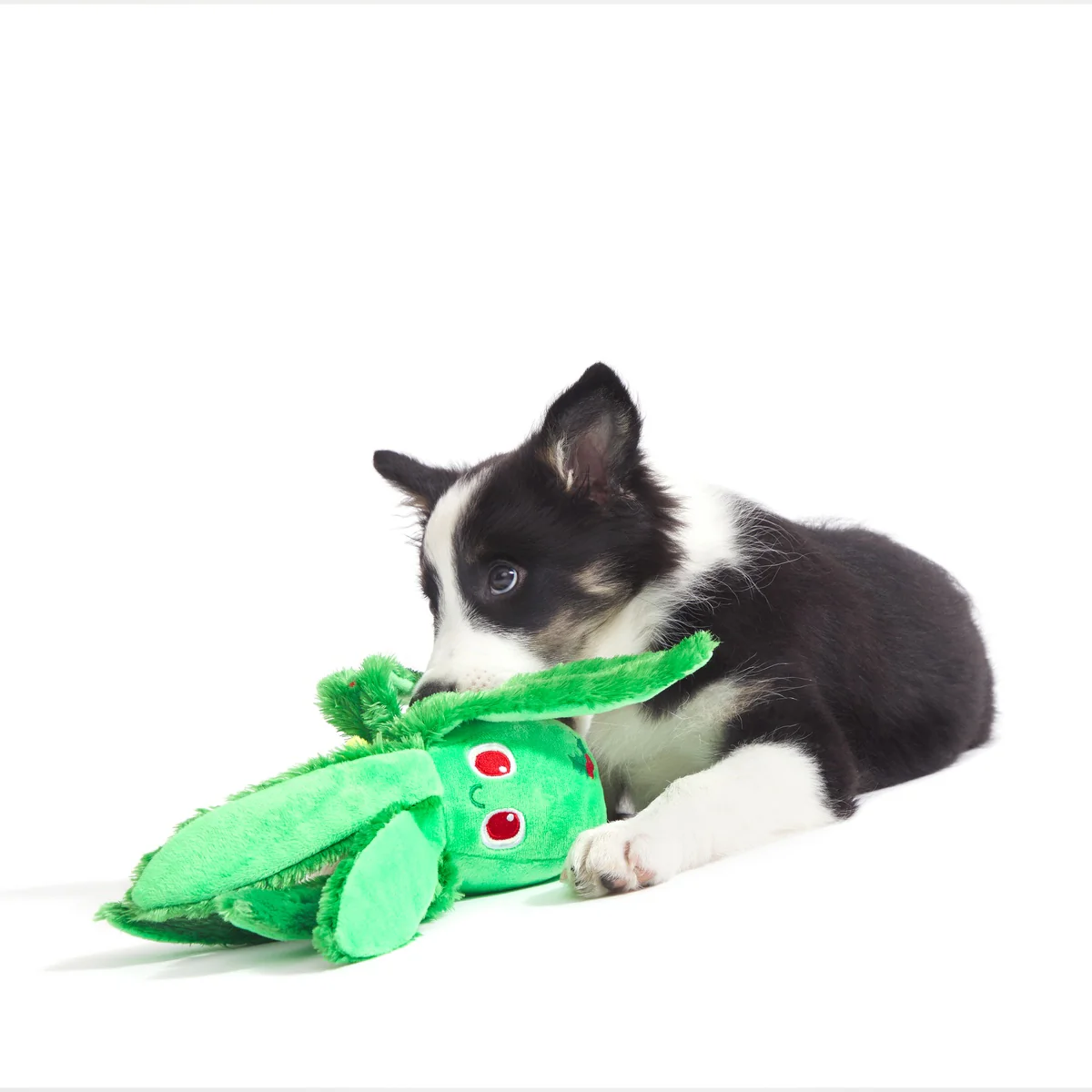 Holly Jolly Ollie Plush Tug Dog Toy - Image 2