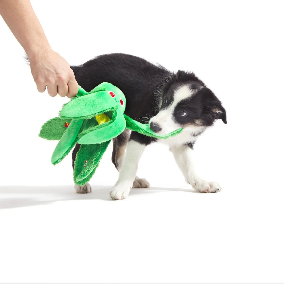 Holly Jolly Ollie Plush Tug Dog Toy - Image 3