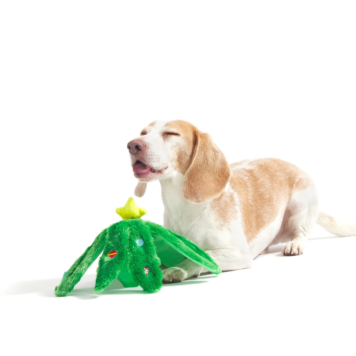 Holly Jolly Ollie Plush Tug Dog Toy - Image 4