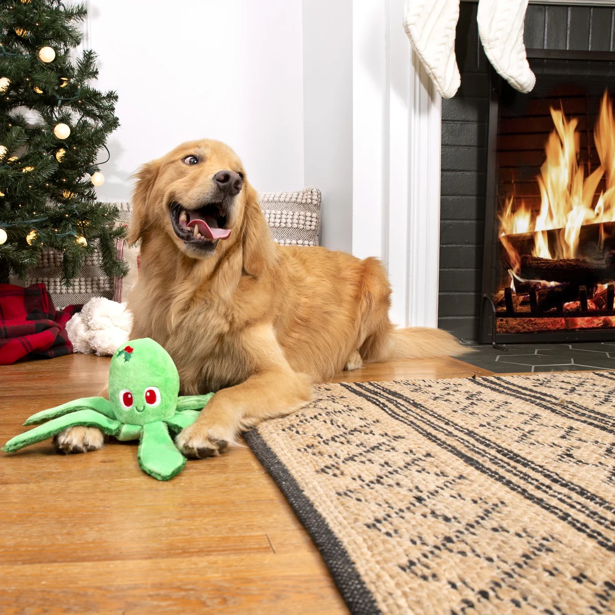 Holly Jolly Ollie Plush Tug Dog Toy - Image 7