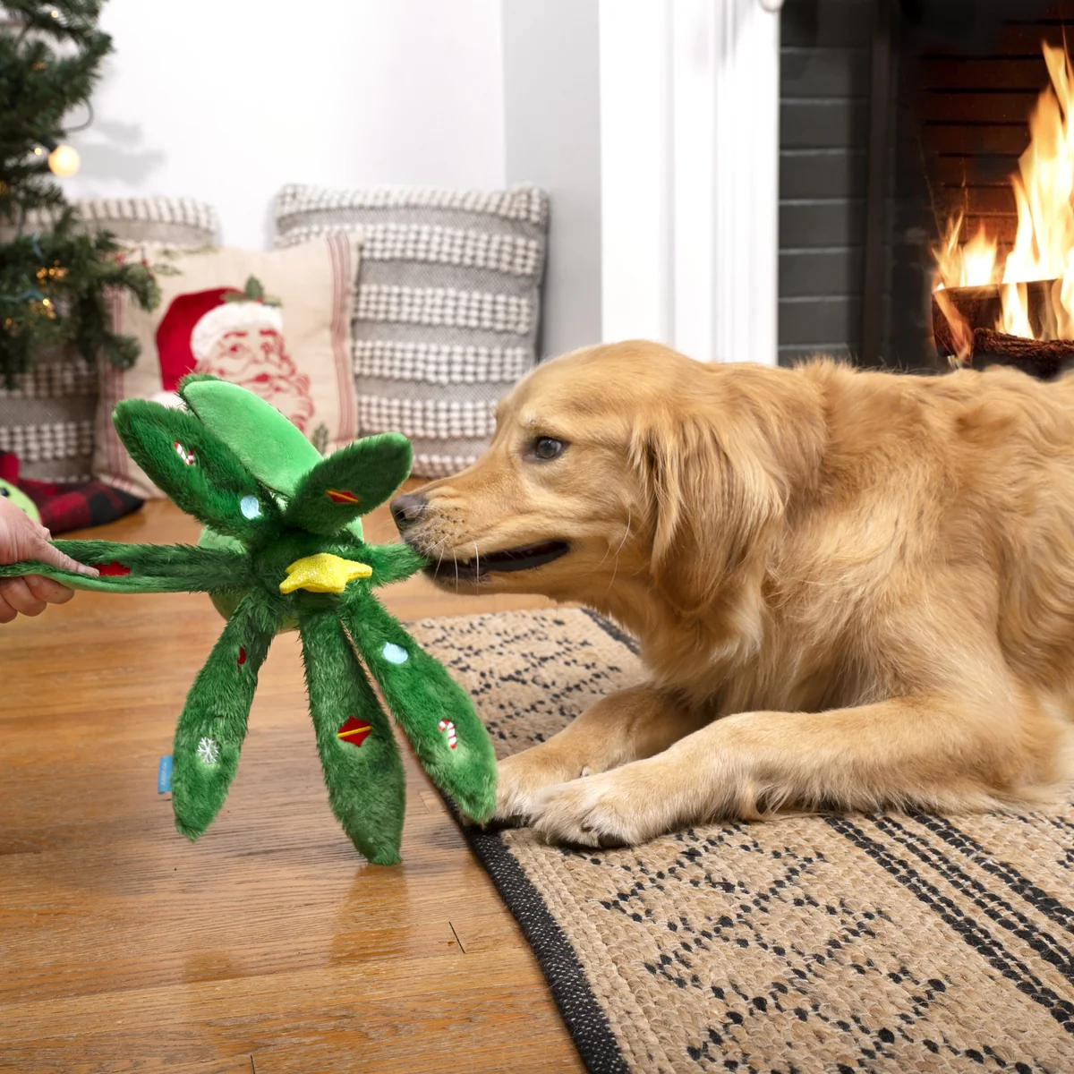 Holly Jolly Ollie Plush Tug Dog Toy - Image 9