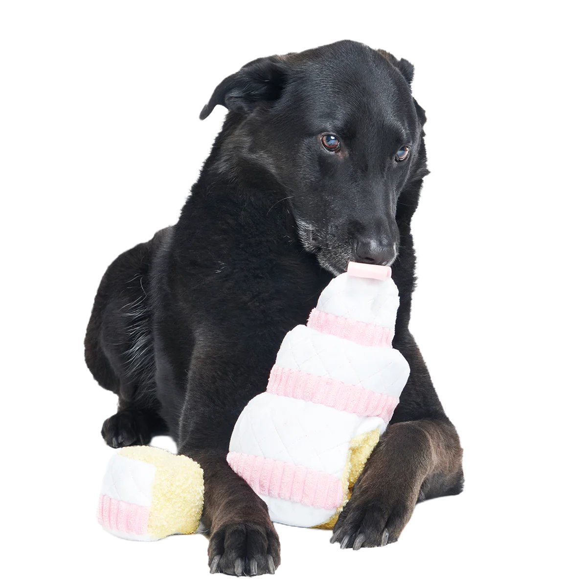 Holy Ratrimony Plush Multi-Part + Enrichment Dog Toy - Image 4