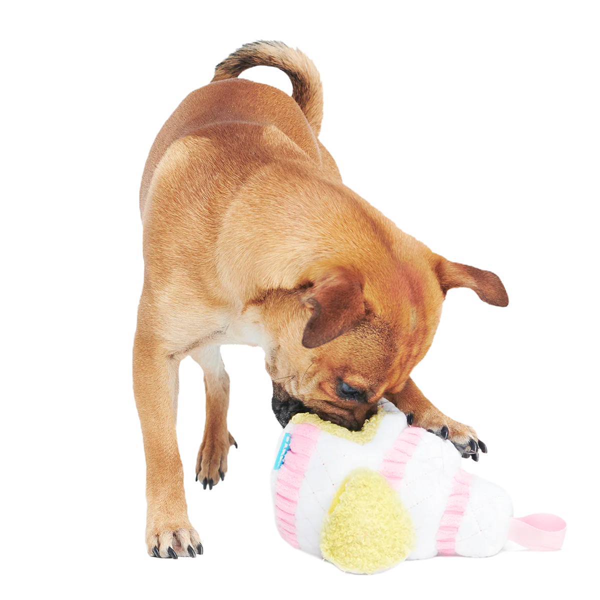 Holy Ratrimony Plush Multi-Part + Enrichment Dog Toy - Image 5