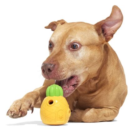 Home Sweet Pineapple - Image 5