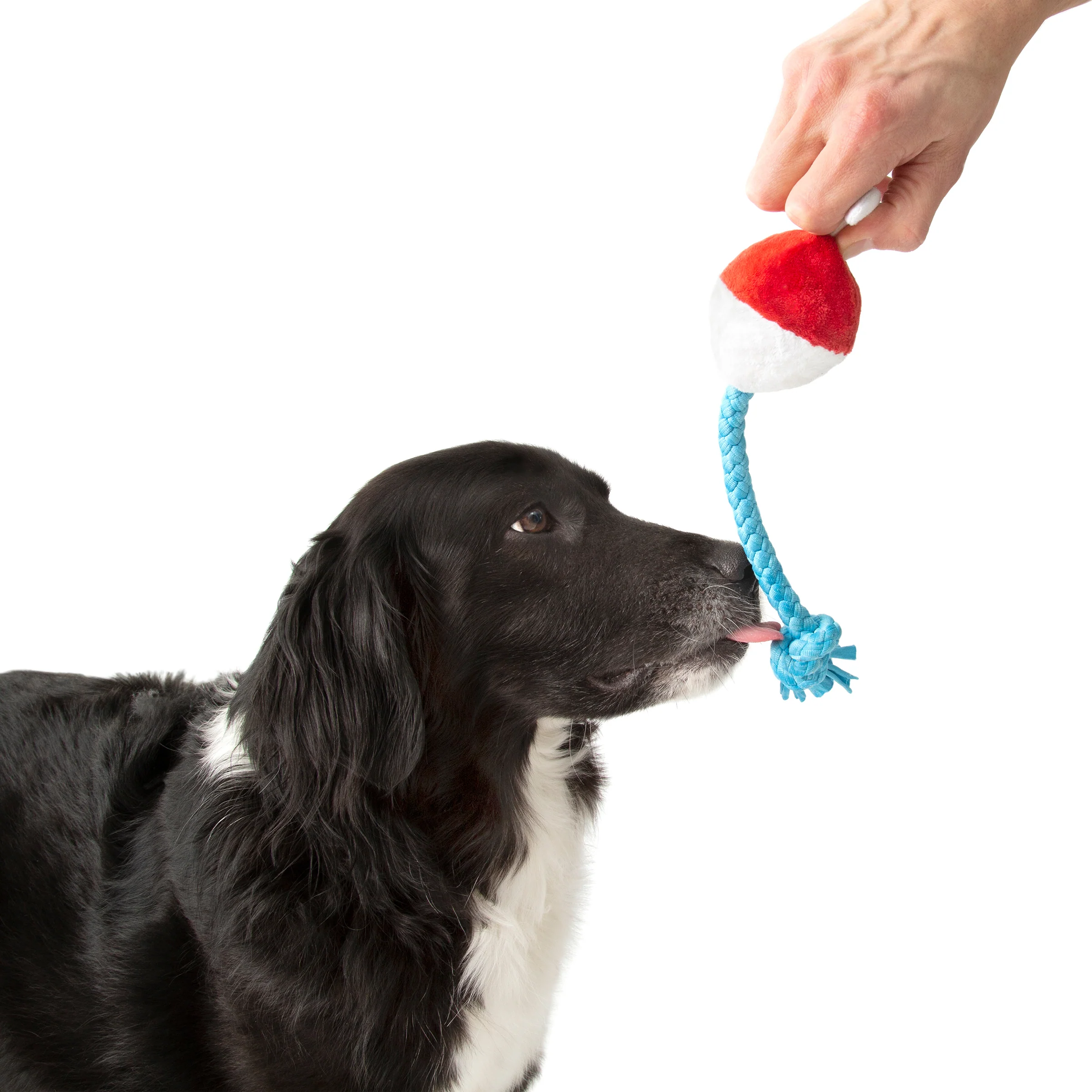 Hook Line and Squeaker Plush Tug Dog Toy - Image 2