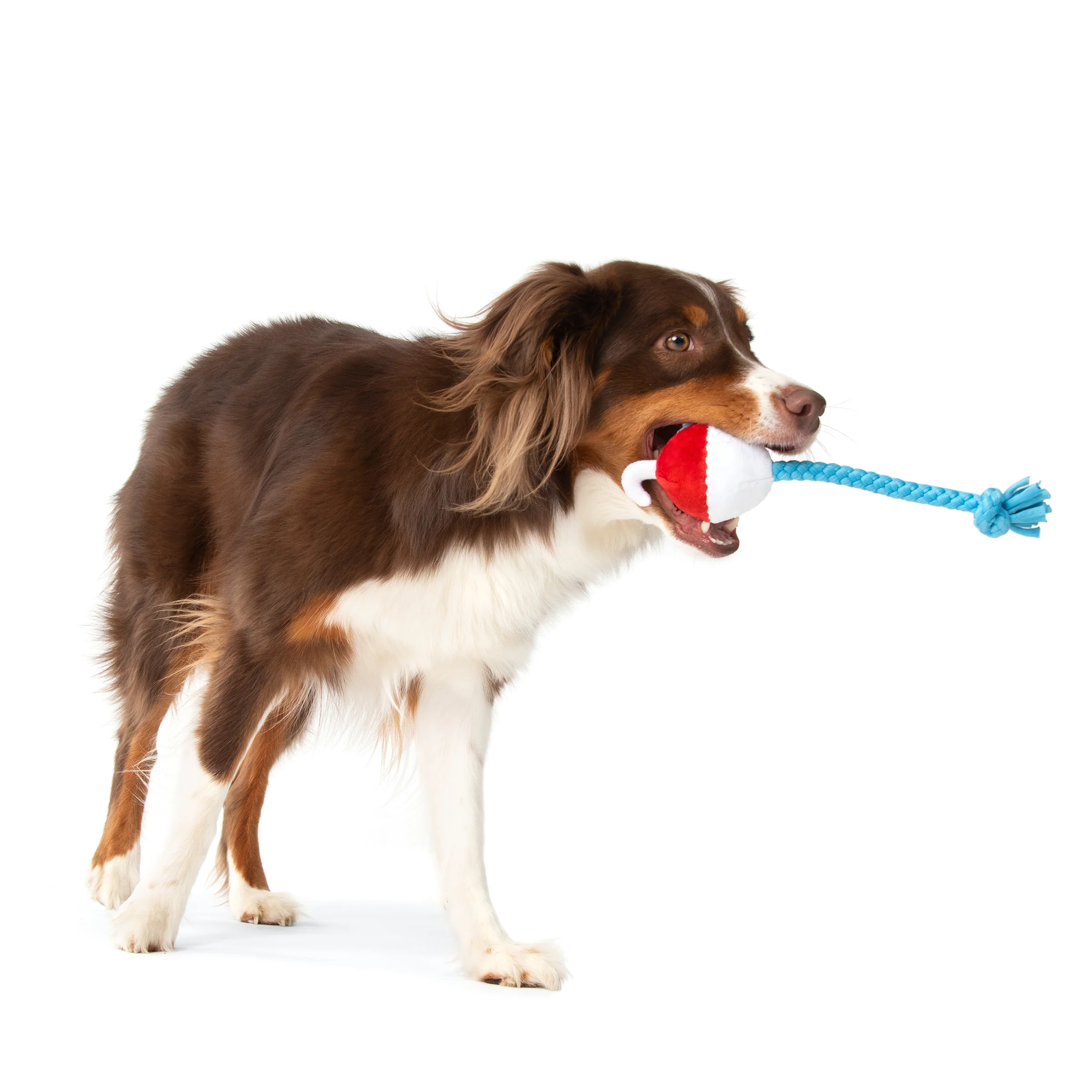 Hook Line and Squeaker Plush Tug Dog Toy - Image 3
