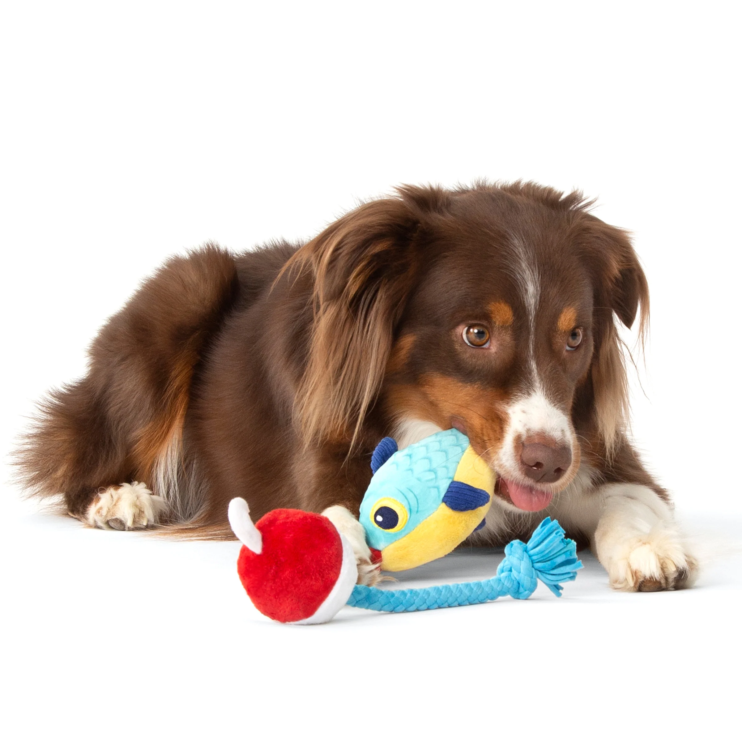 Hook Line and Squeaker Plush Tug Dog Toy - Image 4