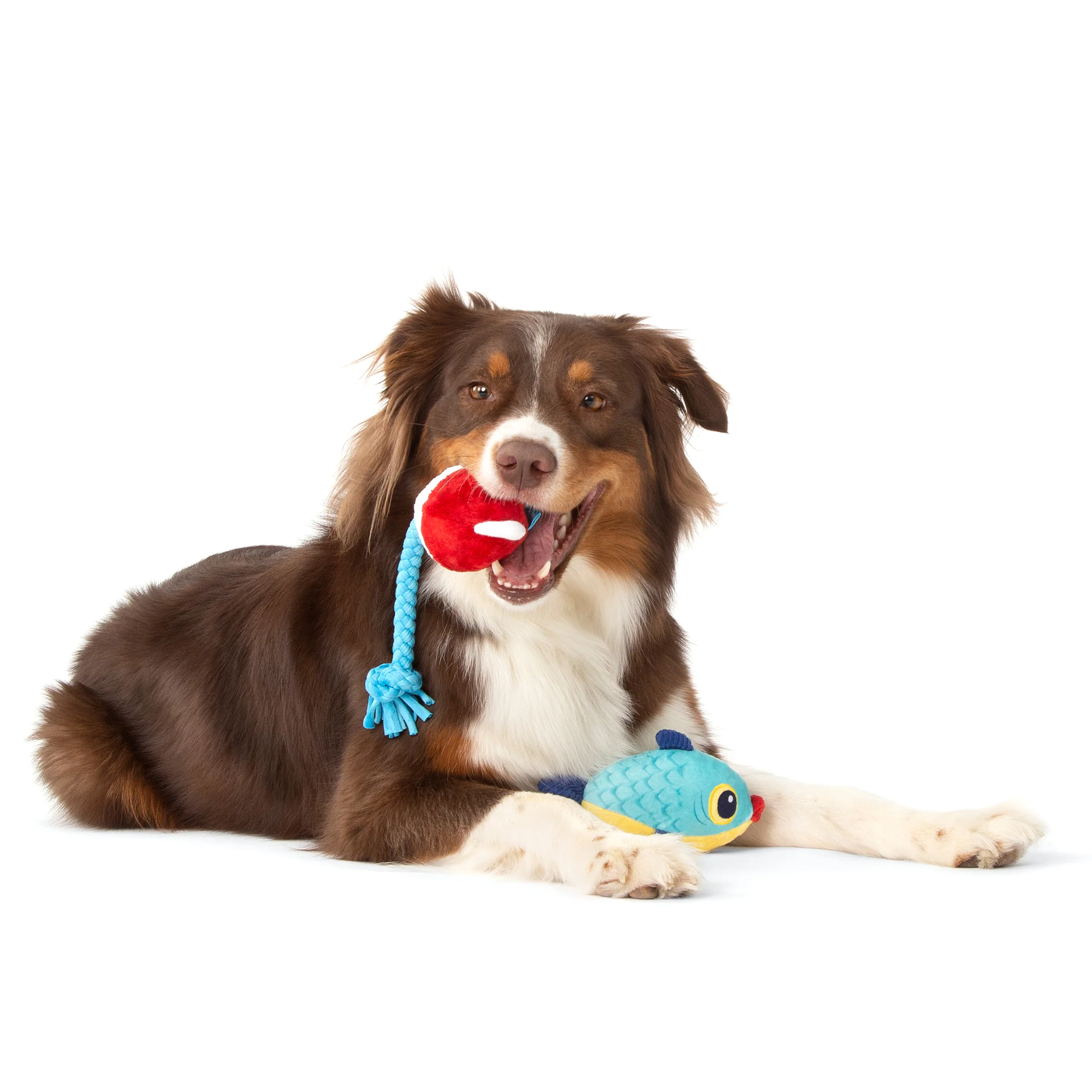 Hook Line and Squeaker Plush Tug Dog Toy - Image 5
