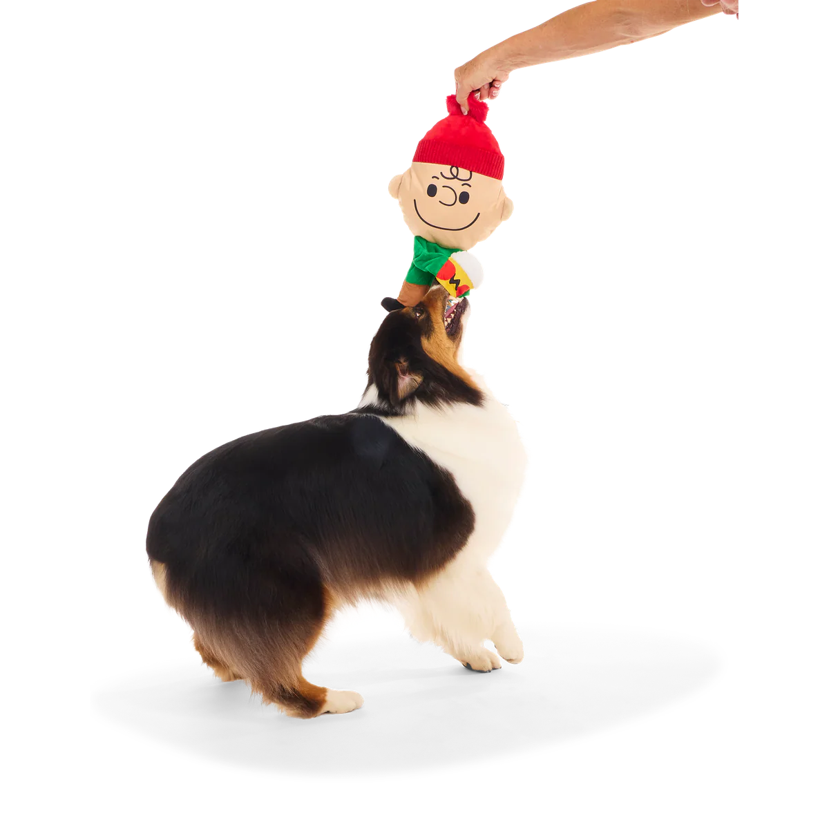 Hot Chocolate Charlie Brown Plush Extra-Large Dog Toy - Image 3