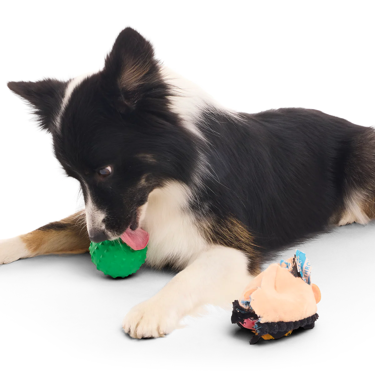 Hot-Headed Harry Super Chewer Durable 2-in-1 + Fetch Dog Toy - Image 4