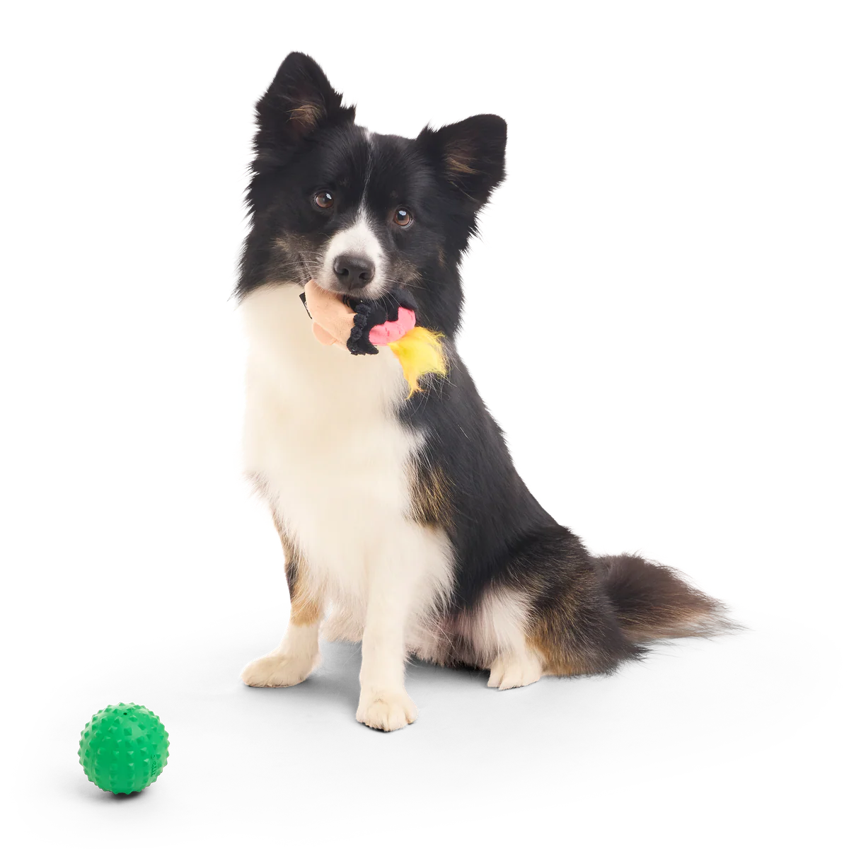 Hot-Headed Harry Super Chewer Durable 2-in-1 + Fetch Dog Toy - Image 5
