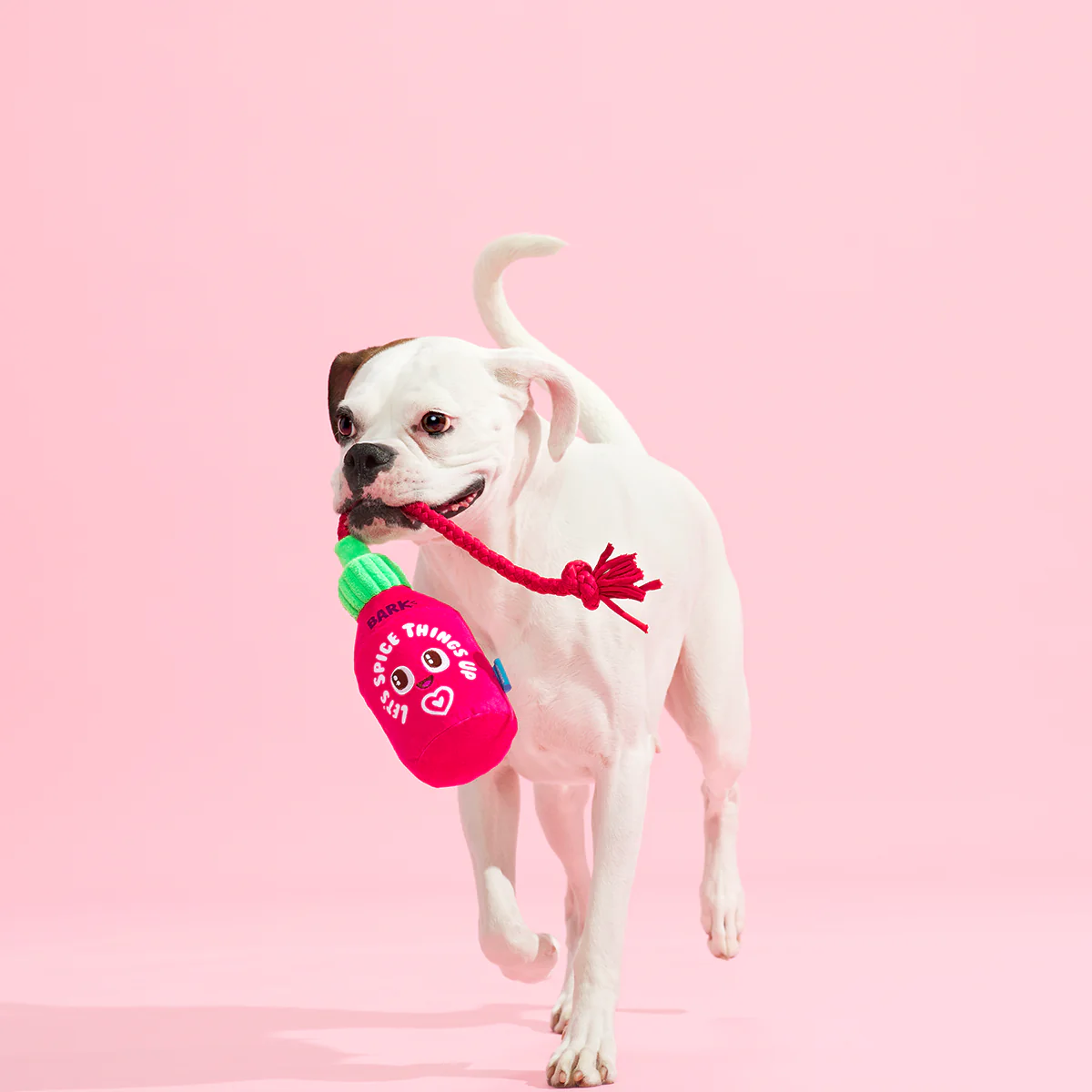 Hot Stuff Plush Tug Dog Toy - Image 3