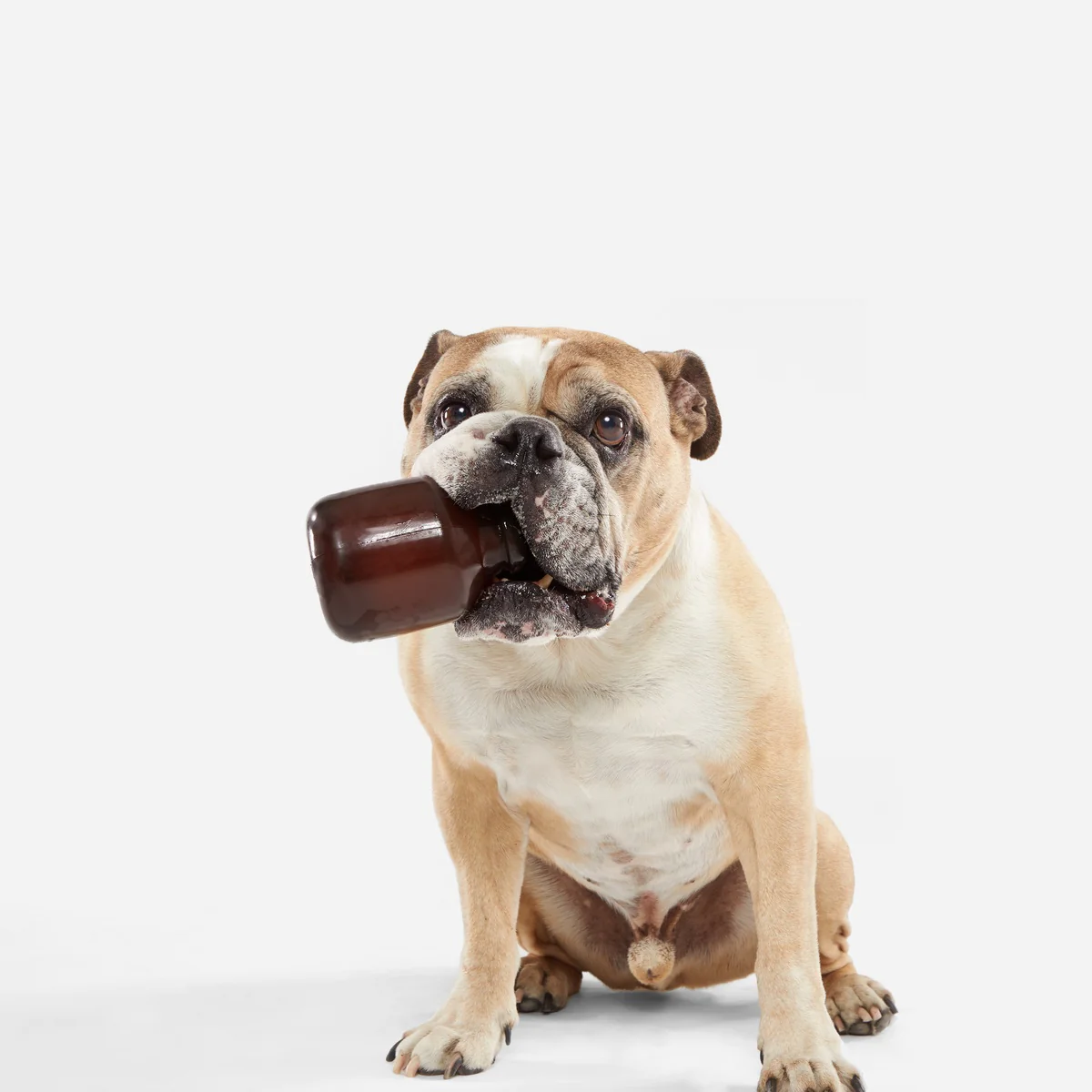Howler Growler Super Chewer Durable Fetch Dog Toy - Image 3