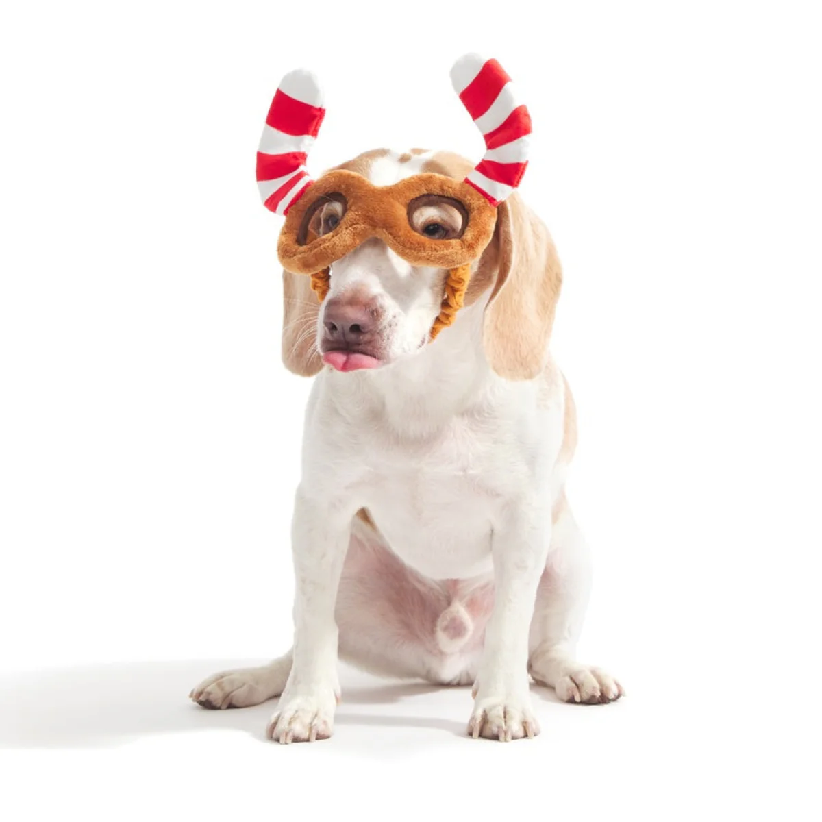 Howliday Spectacles Pack Plush Wearable Tug Dog Toy - Image 3