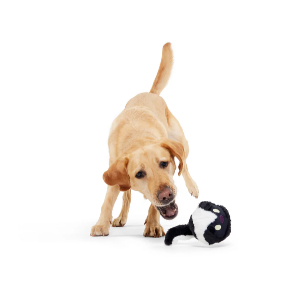 Hunky Skunky Durable Super Chewer 2-in-1 Rip and Reveal + Fetch Dog Toy - Image 7