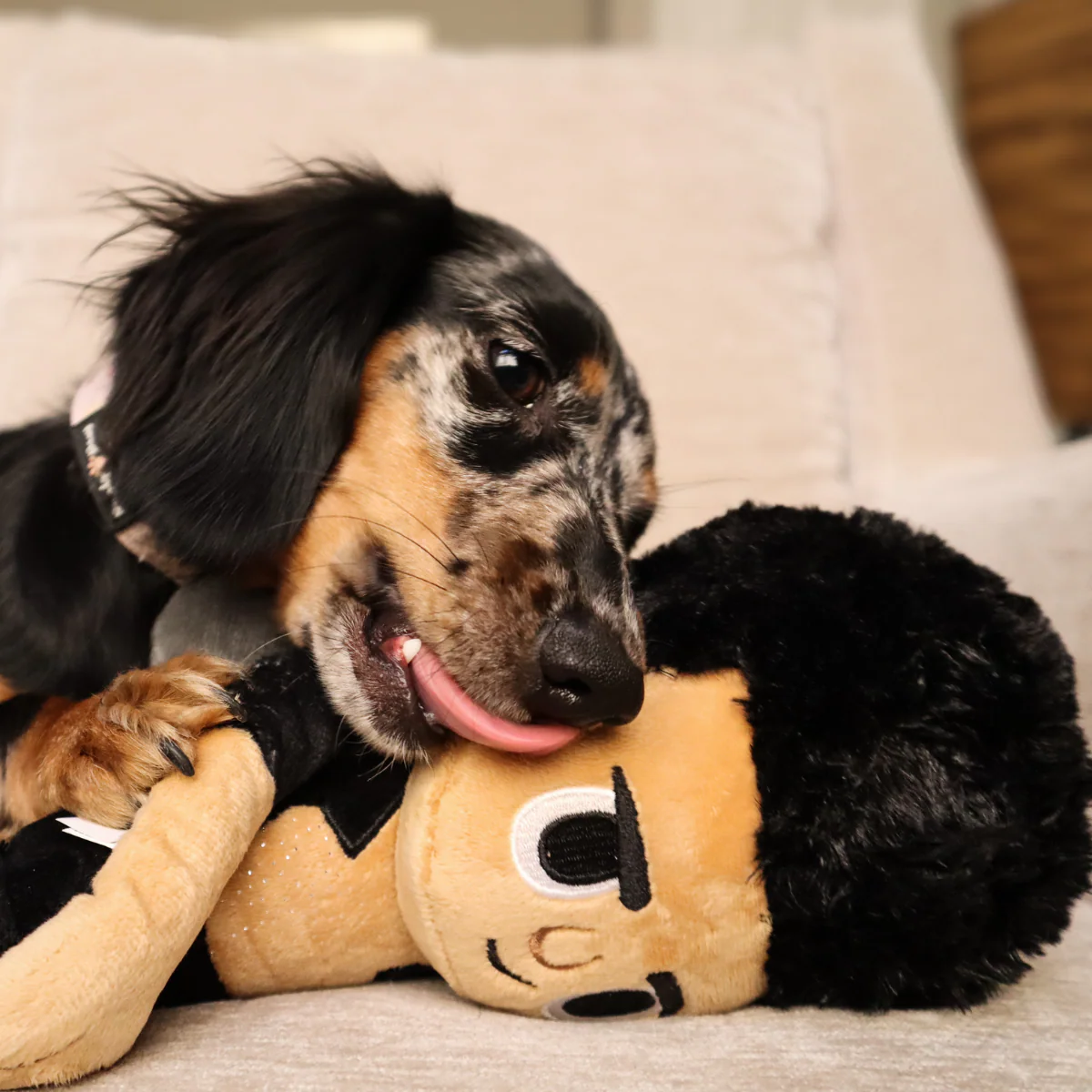 Life Finds A Play Plush Tug Dog Toy - Image 3