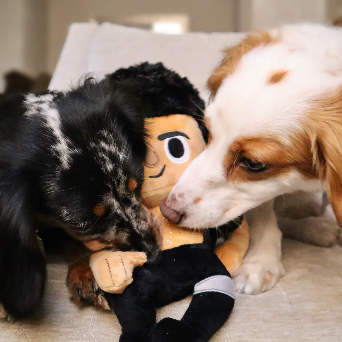 Life Finds A Play Plush Tug Dog Toy - Image 4