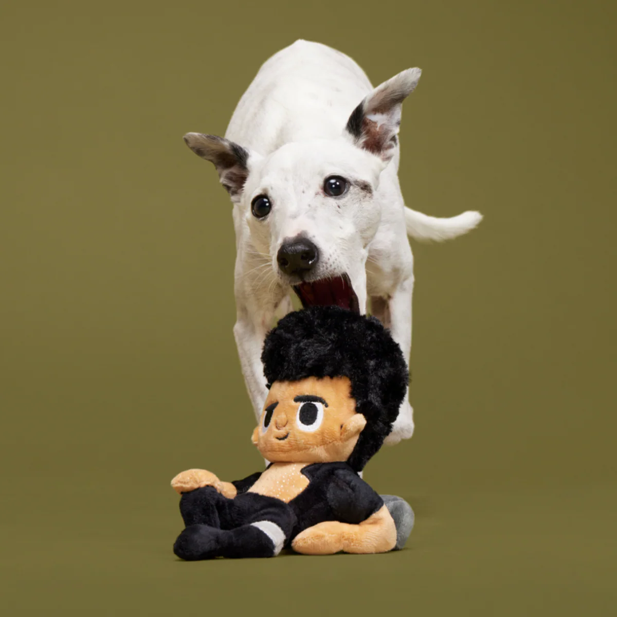 Life Finds A Play Plush Tug Dog Toy - Image 5