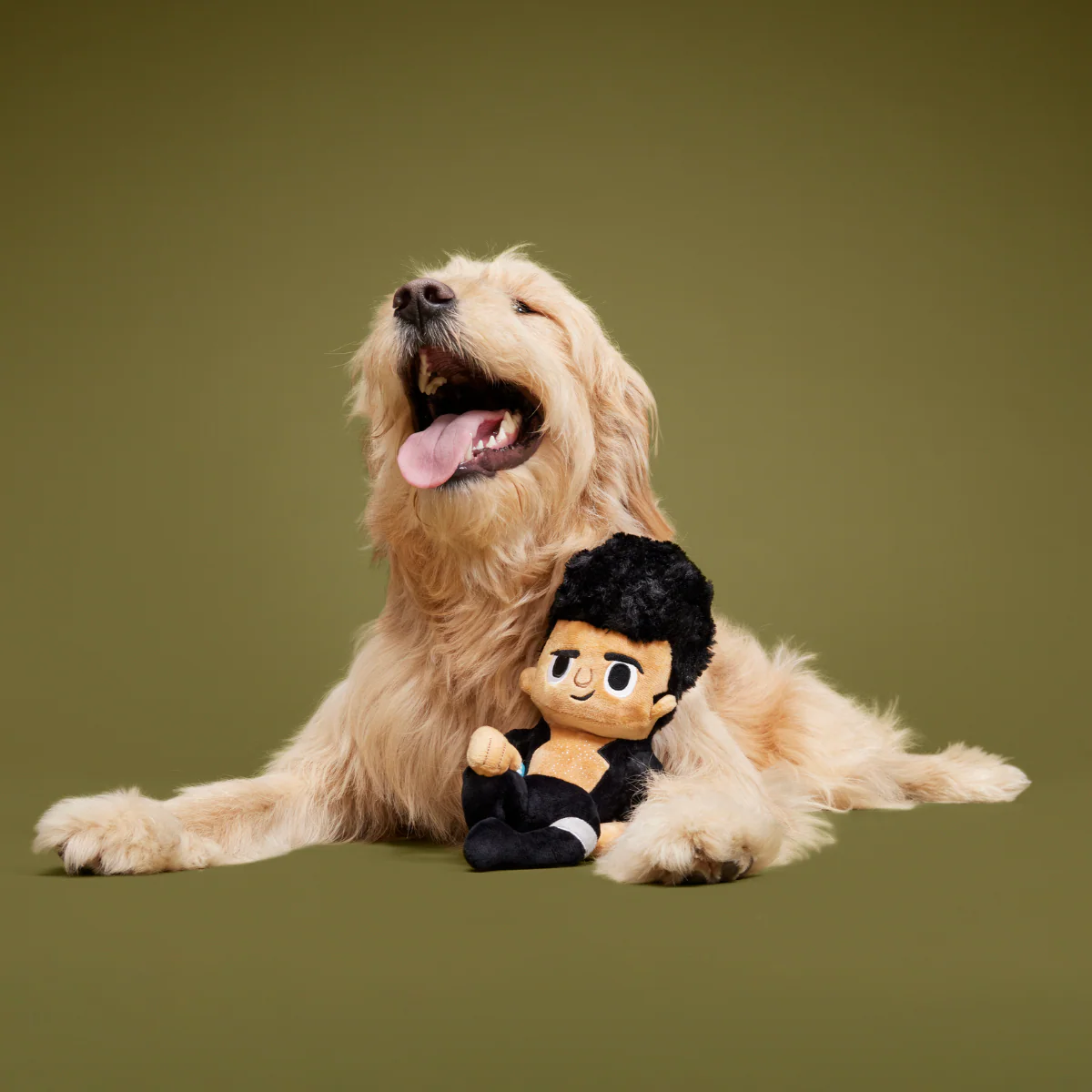 Life Finds A Play Plush Tug Dog Toy - Image 6