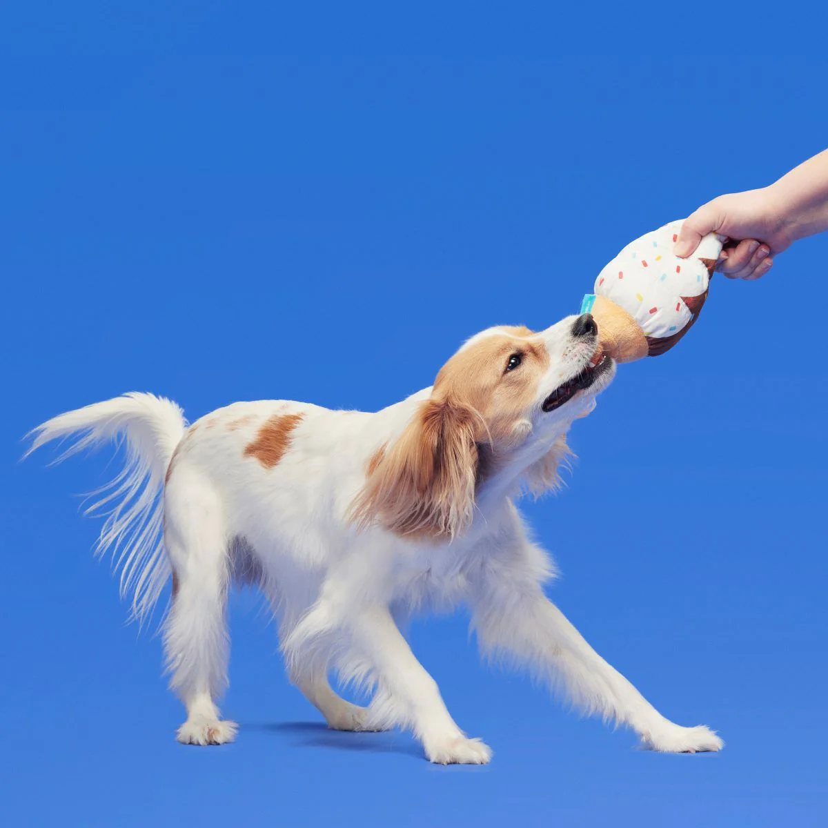 Ice Cream Carn Plush Tug Dog Toy - Image 3