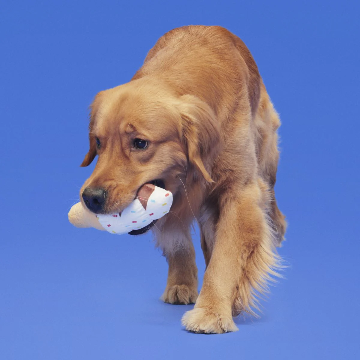 Ice Cream Carn Plush Tug Dog Toy - Image 4