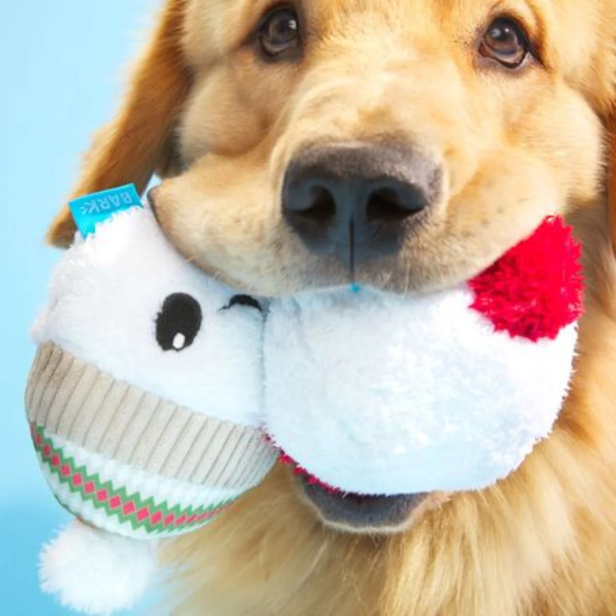 Ice, Ice, and Baby Plush Multi-Part Dog Toy - Image 3