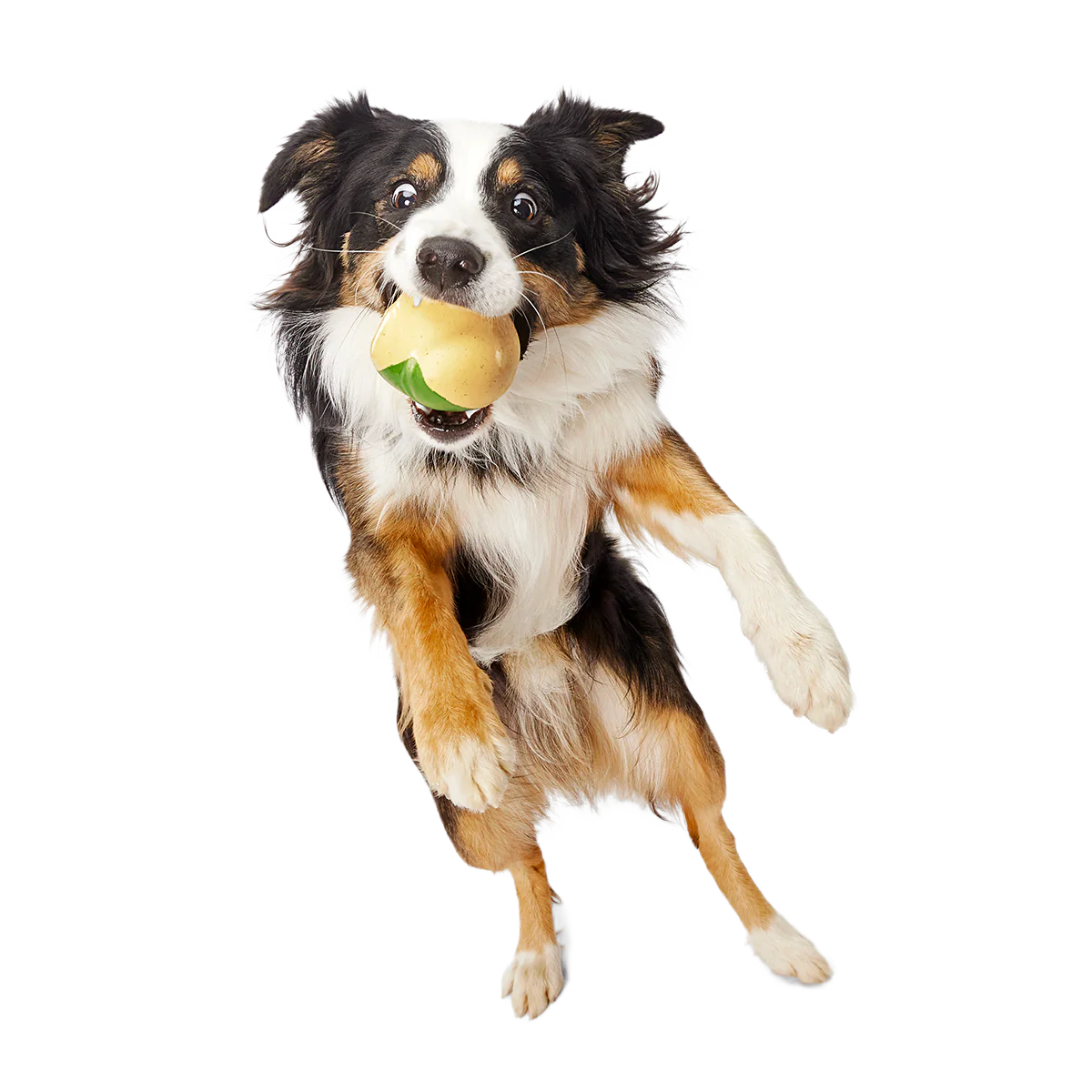 Jabba the Hut ™ Slobber Lobber Super Chewer Durable Fetch Dog Toy - Image 3