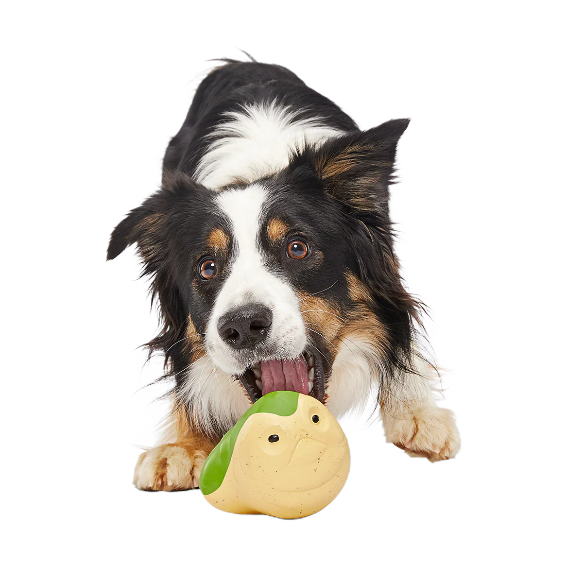 Jabba the Hut ™ Slobber Lobber Super Chewer Durable Fetch Dog Toy - Image 4