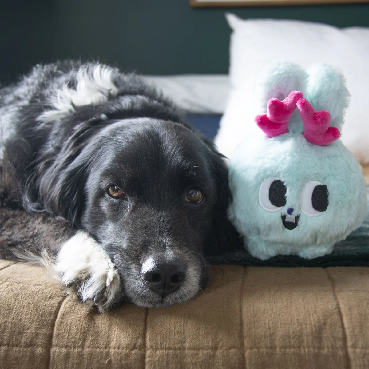 Jack Jackalope Plush Dog Toy - Image 2
