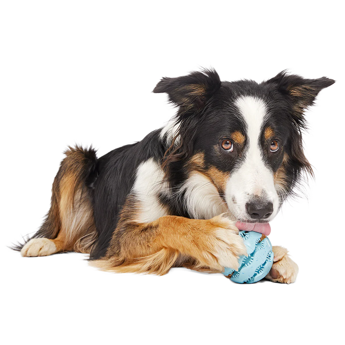 Jawball Super Chewer Durable Fetch + Enrichment Dog Toy - Image 3