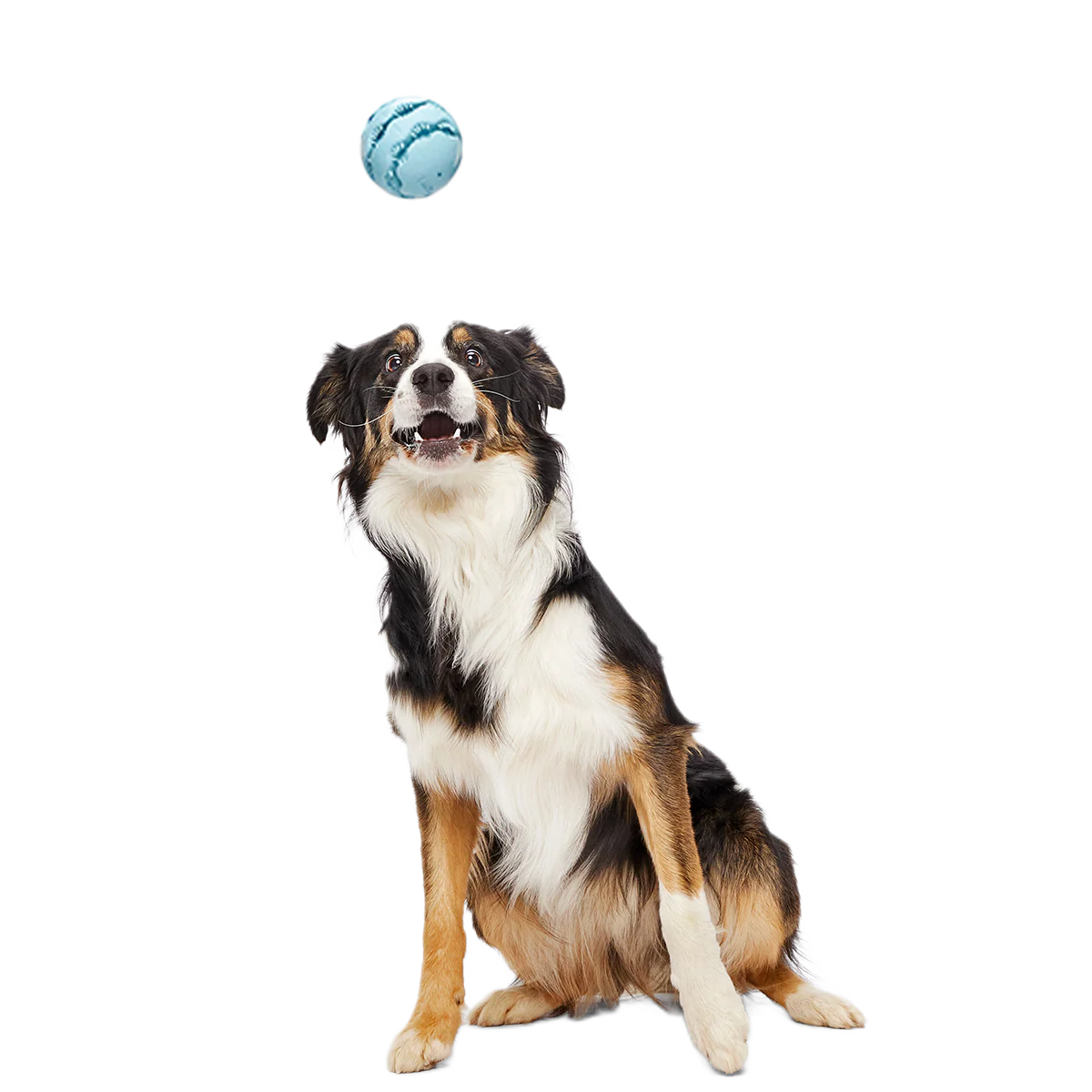 Jawball Super Chewer Durable Fetch + Enrichment Dog Toy - Image 4
