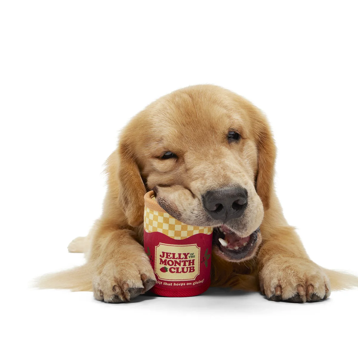 Jelly Of The Mutt Club Super Chewer Durable Multi-Part + Enrichment + Fetch Dog Toy - Image 2
