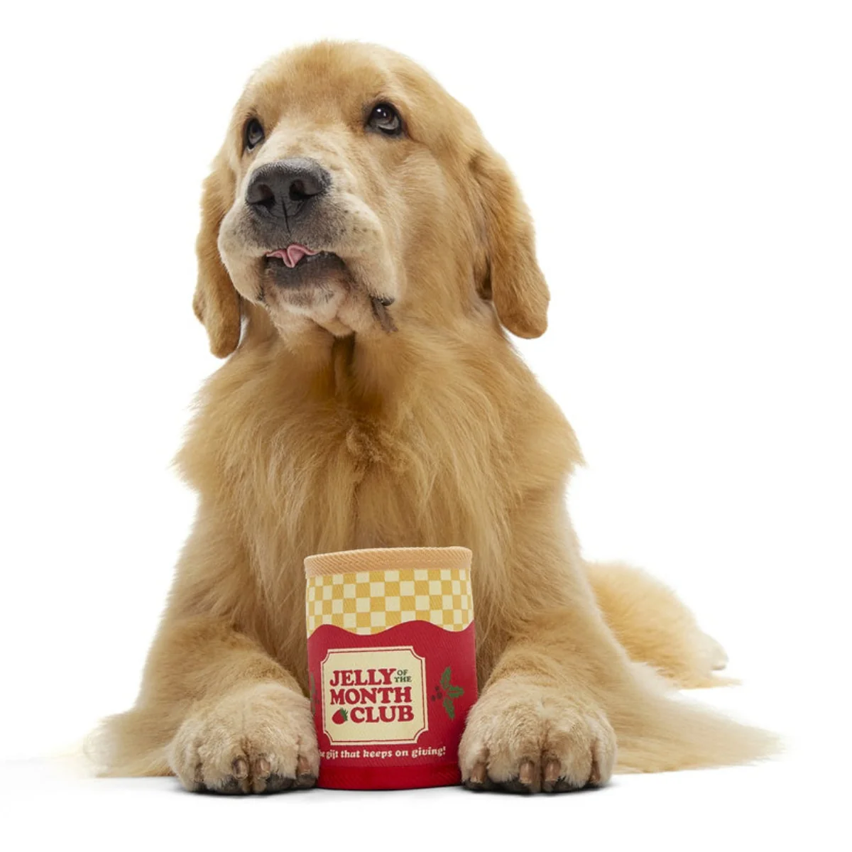 Jelly Of The Mutt Club Super Chewer Durable Multi-Part + Enrichment + Fetch Dog Toy - Image 3
