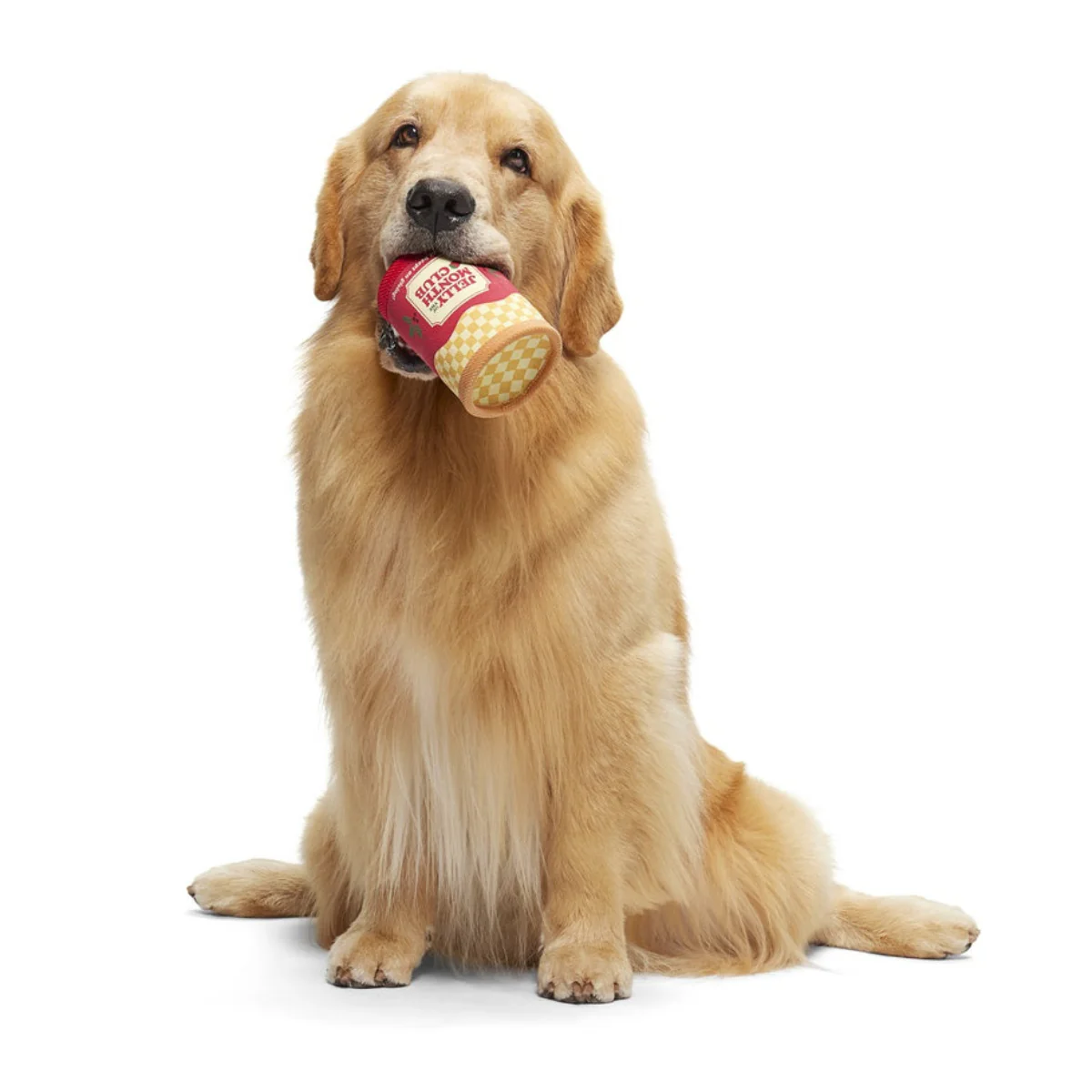 Jelly Of The Mutt Club Super Chewer Durable Multi-Part + Enrichment + Fetch Dog Toy - Image 4