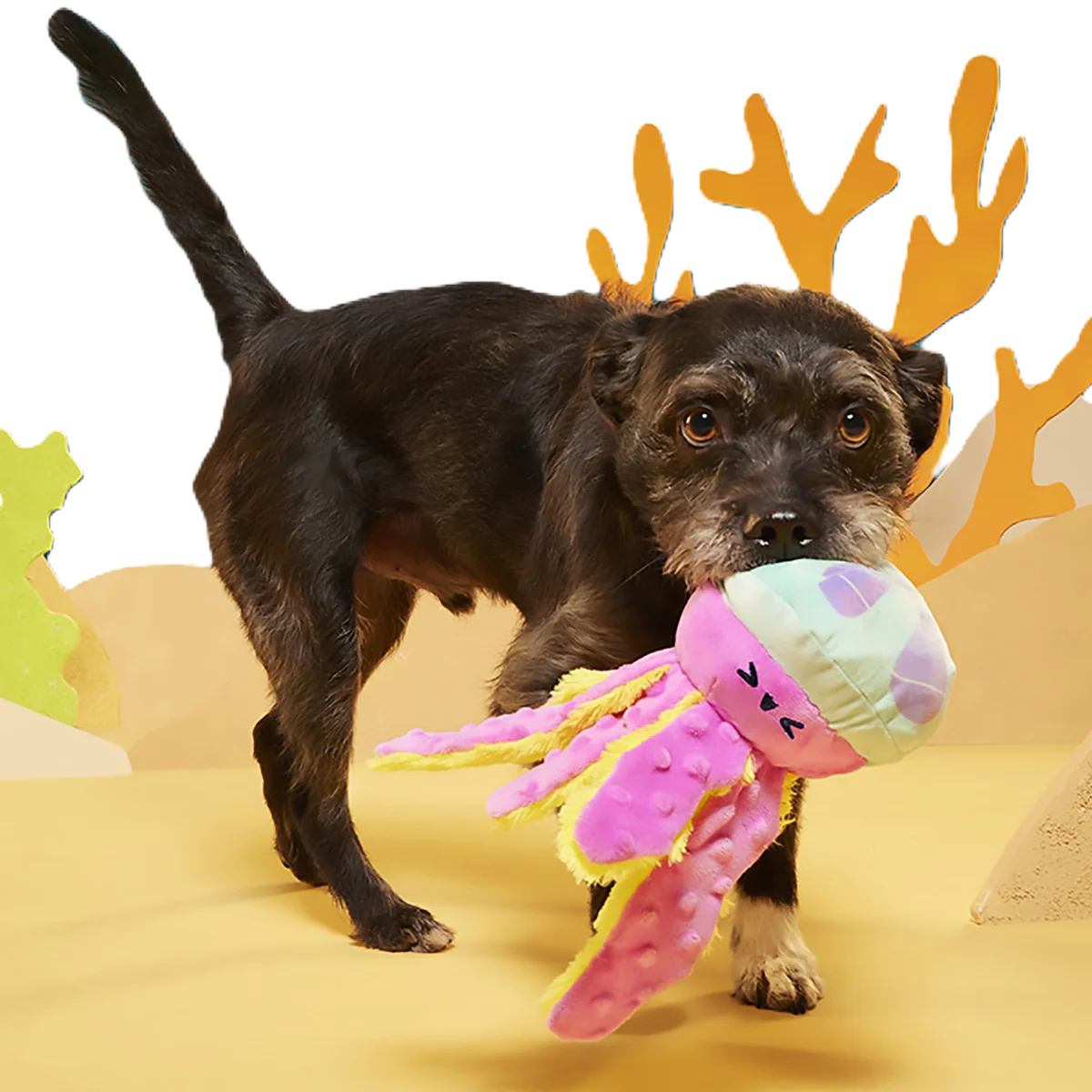 Jellysquish Plush Tug Dog Toy - Image 2
