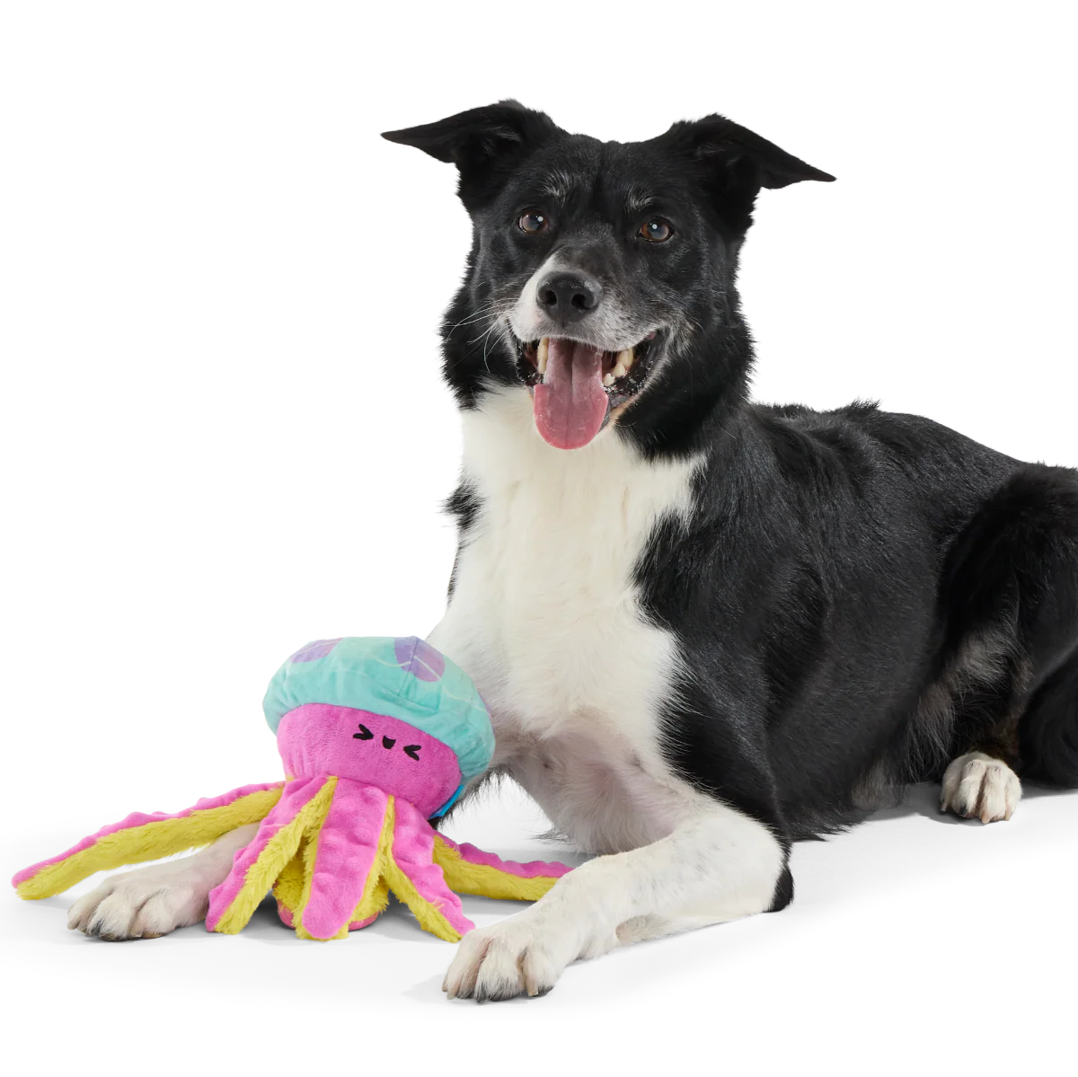 Jellysquish Plush Tug Dog Toy - Image 4