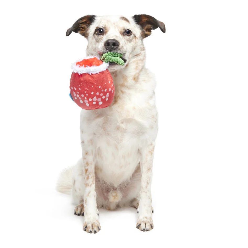 Jingle Juice Plush Dog Toy - Image 3