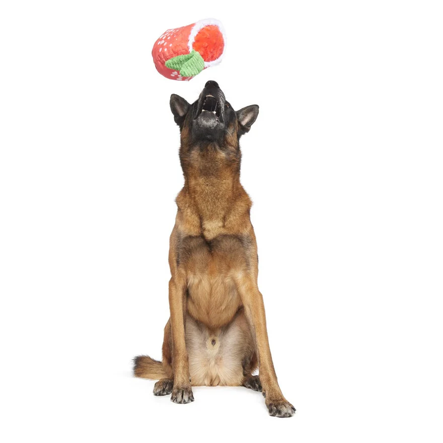 Jingle Juice Plush Dog Toy - Image 4