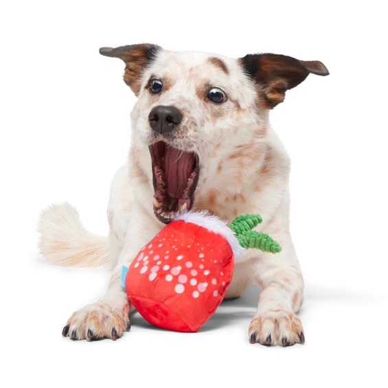 Jingle Juice Plush Dog Toy - Image 5