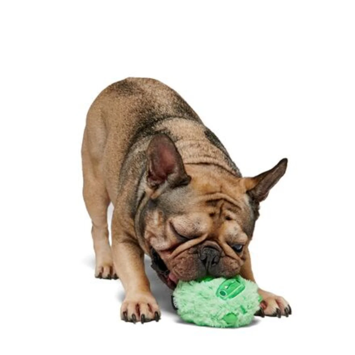 Jolly Green Ice Beast Durable Super Chewer 2-in-1 Rip and Reveal Dog Toy - Image 2