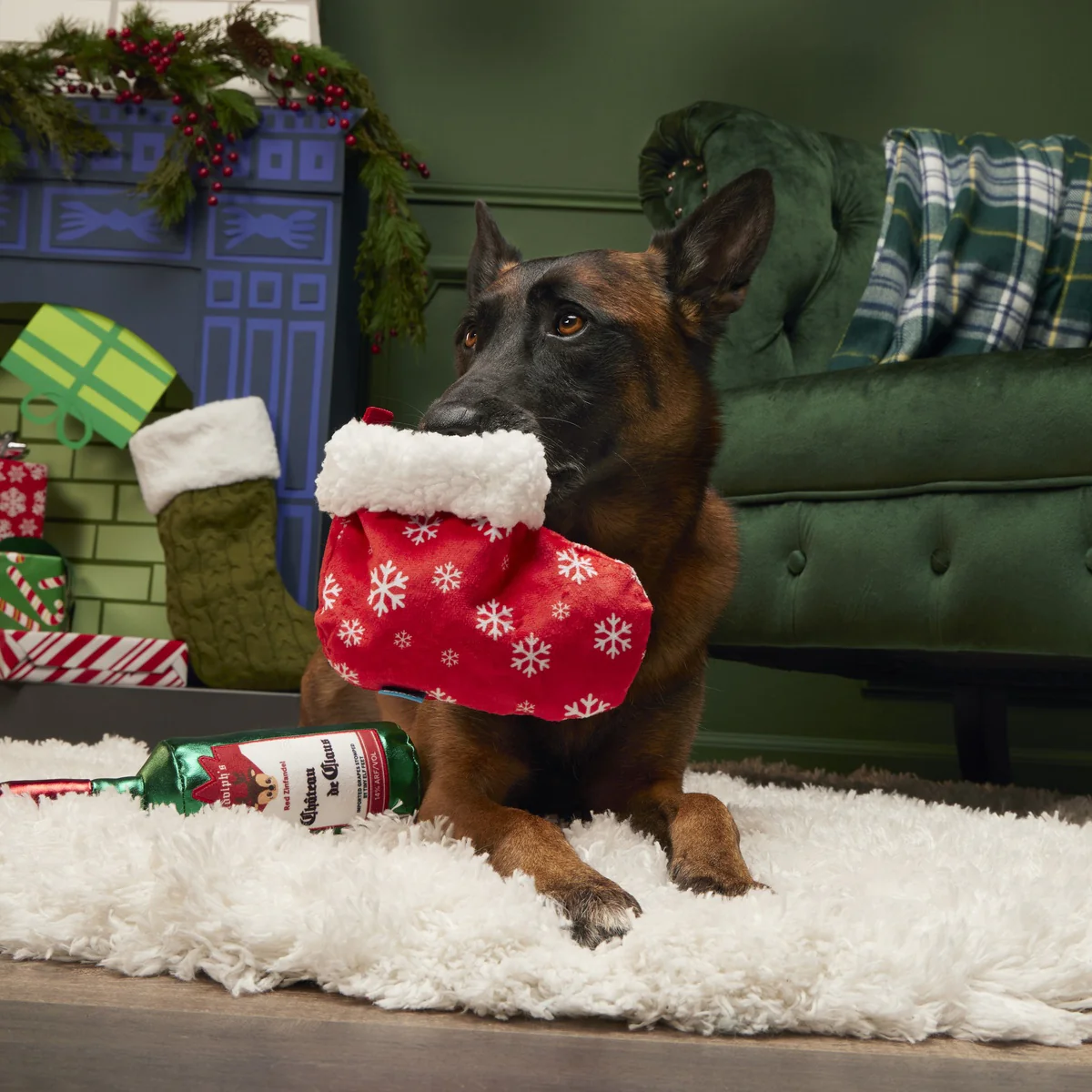 Jolly Juice Stocking Plush Multi-Part Dog Toy - Image 3
