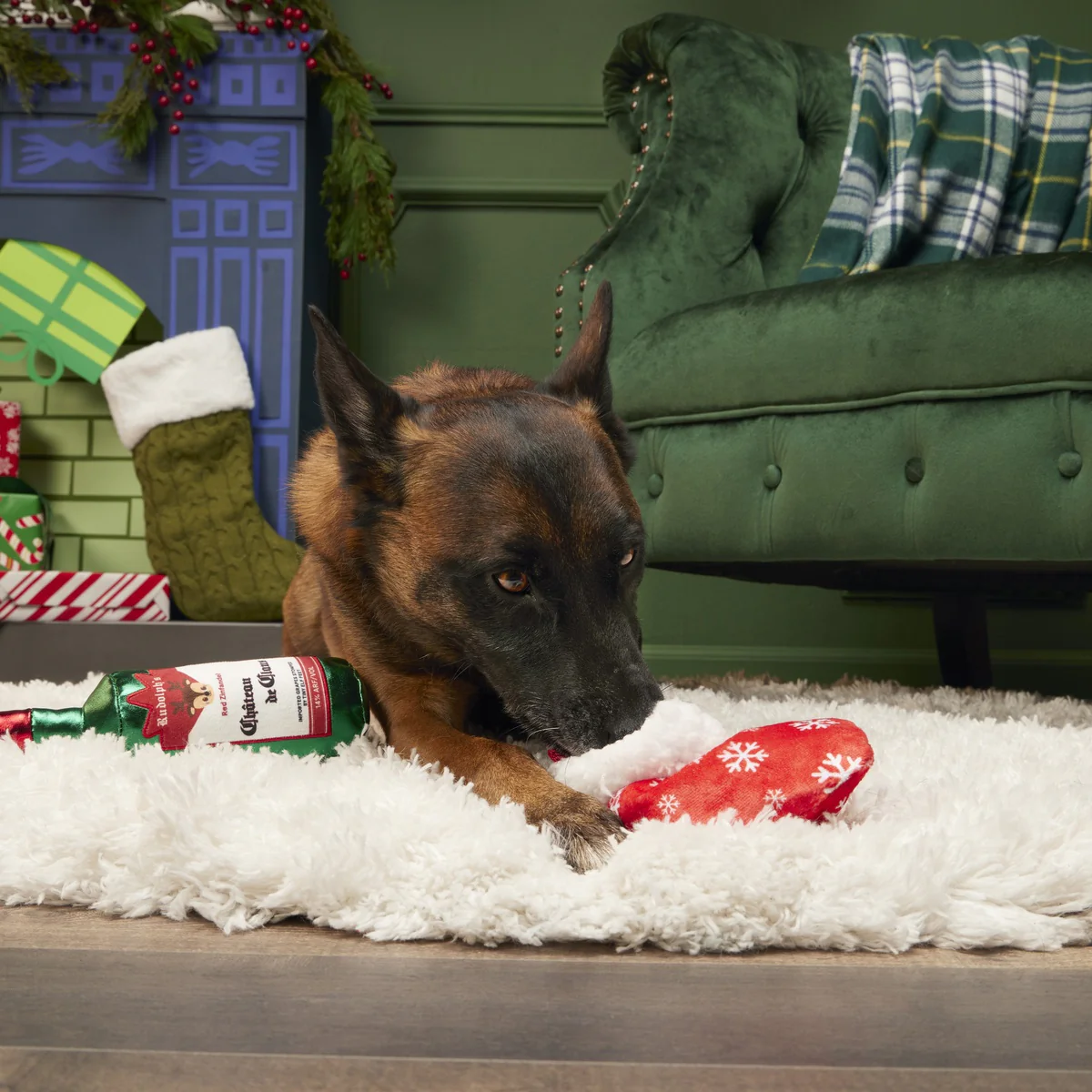 Jolly Juice Stocking Plush Multi-Part Dog Toy - Image 4