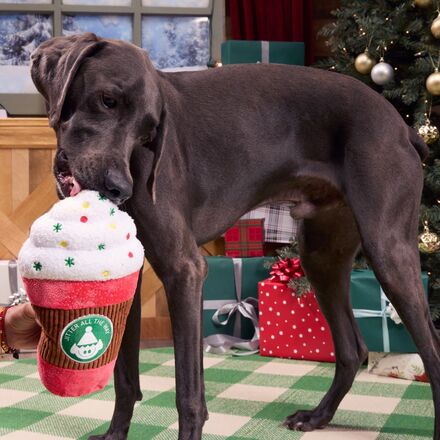 Jumbo Jingle Latte Plush Extra-Large Dog Toy - Image 4