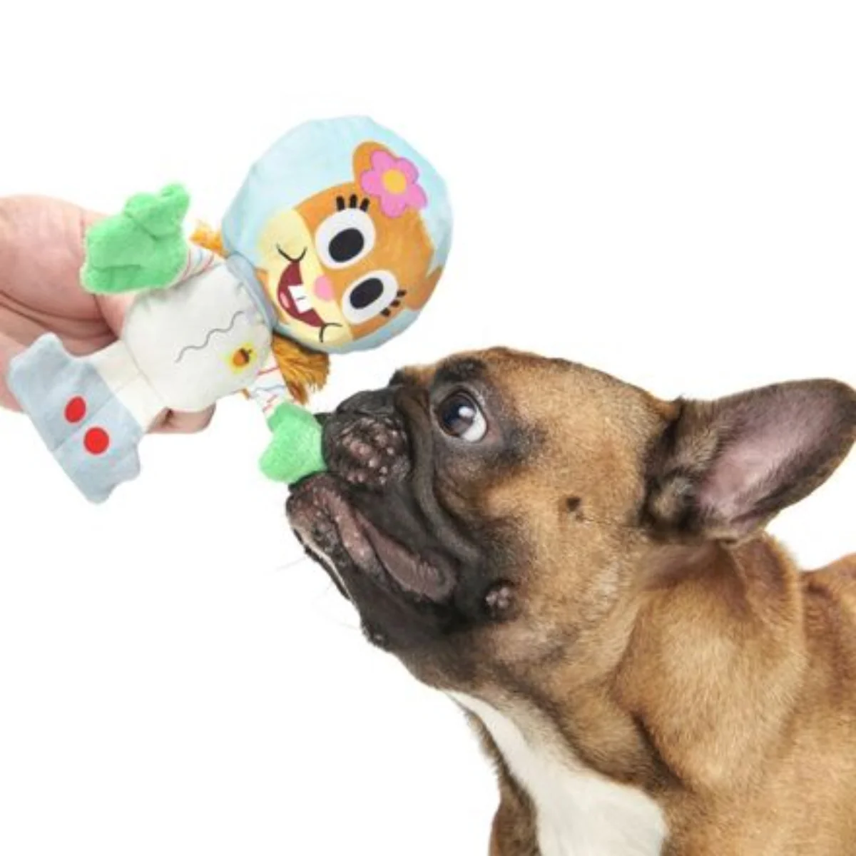 Kah-Rah-Tay Chomp Sandy Plush Tug Dog Toy - Image 3
