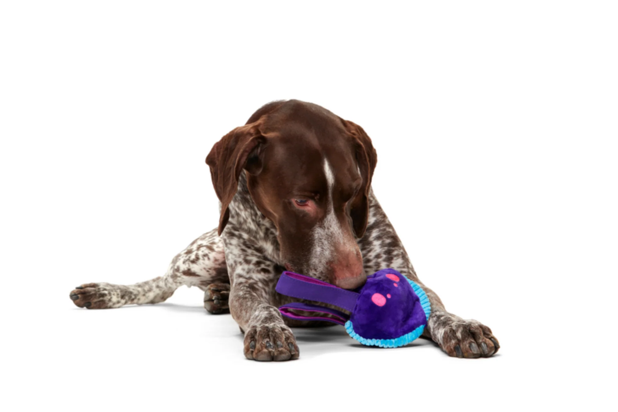 Karen Kraken Super Chewer Durable Tug Dog Toy - Image 4