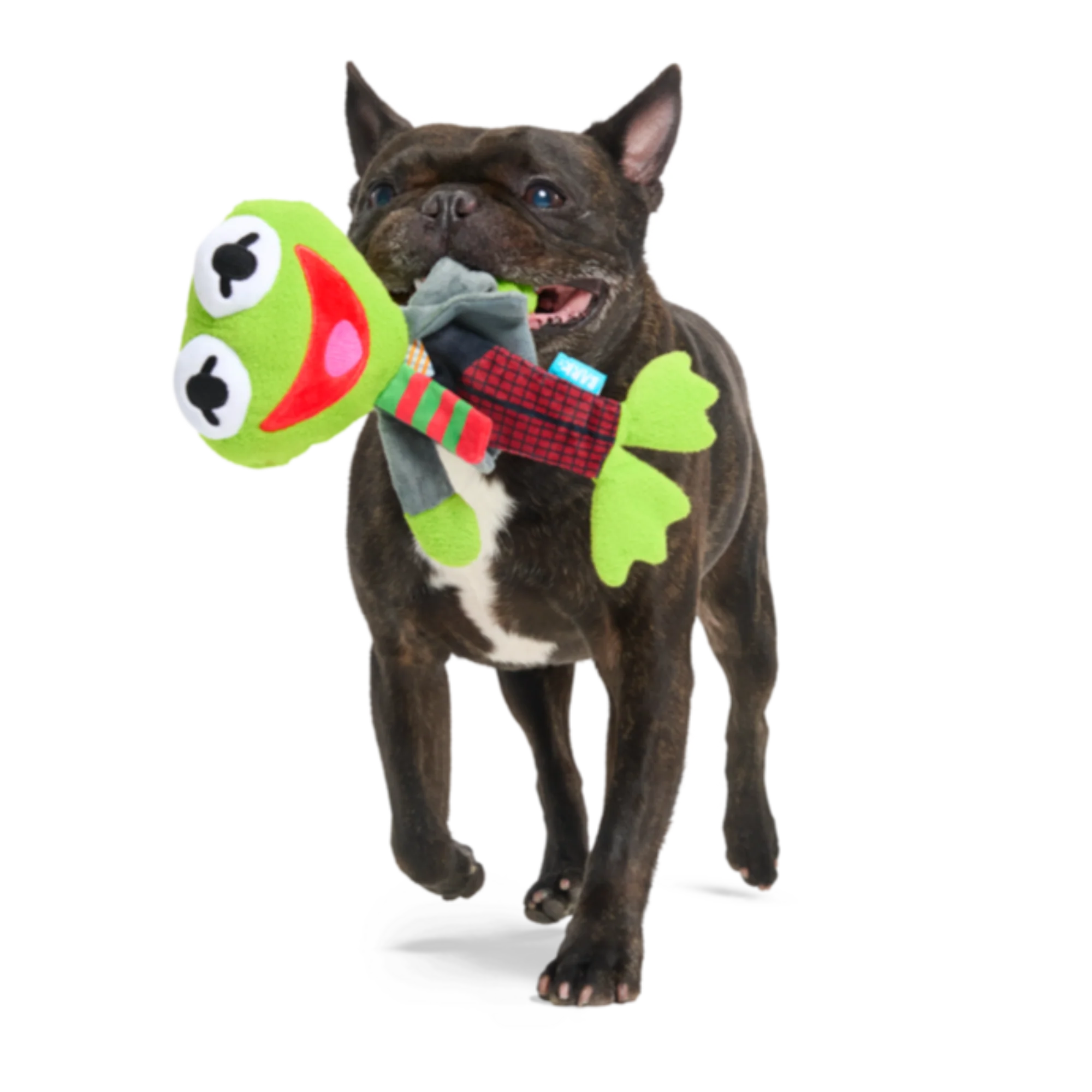 Kermit the Frog as “Bob Catch-It" Plush Tug Dog Toy - Image 3