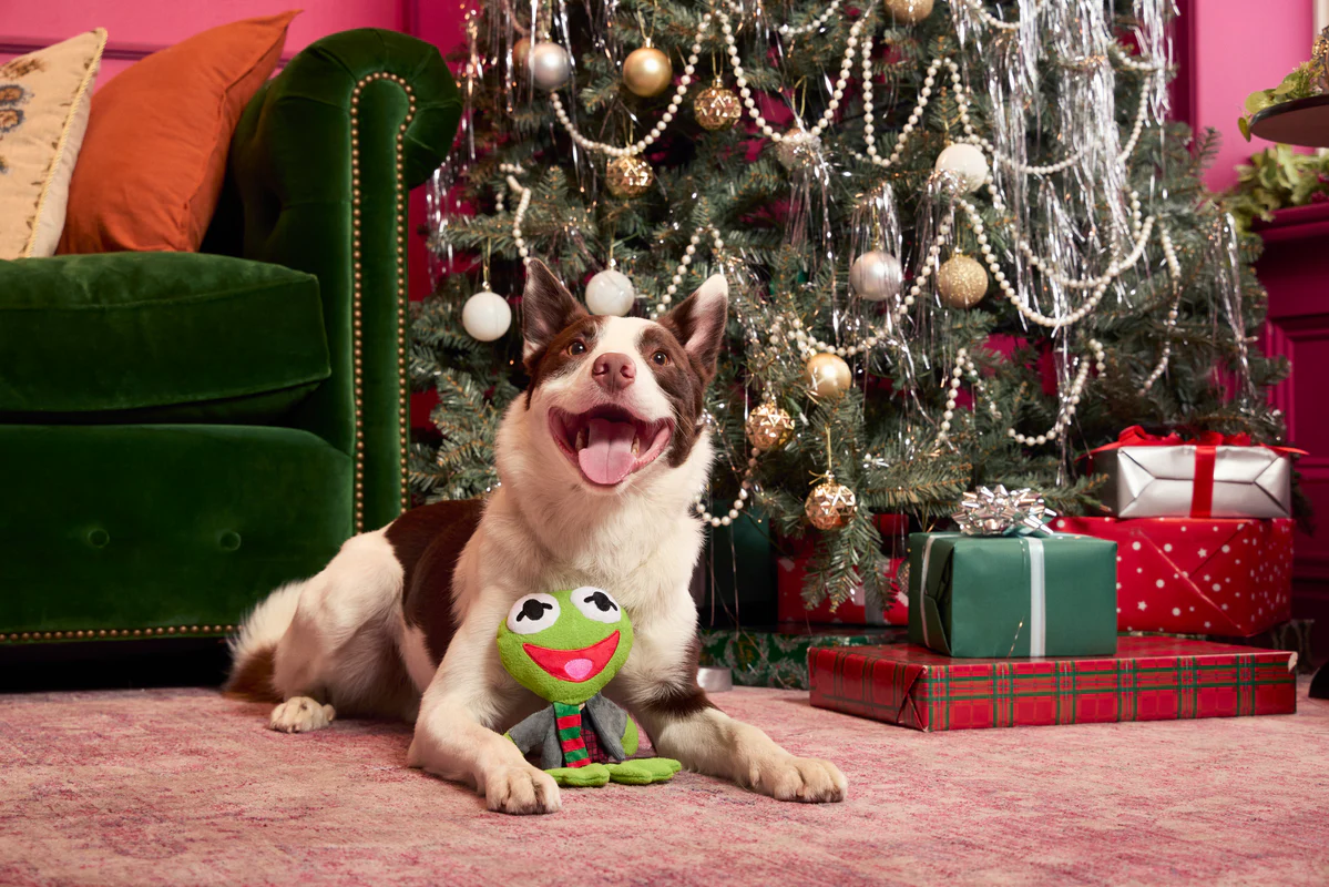 Kermit the Frog as “Bob Catch-It" Plush Tug Dog Toy - Image 5